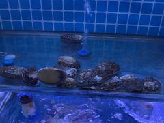 -面道赞宁海海鲜面(迎凤街店)