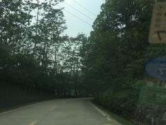 -清溪森林公园