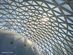 -陕西自然博物馆