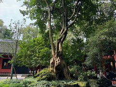 -成都武侯祠博物馆