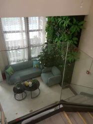 -苗医生草本科技祛痘