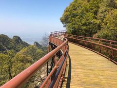 -少华山国家森林公园