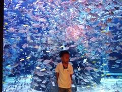 -成都浩海立方海洋公园