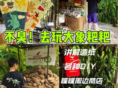 -大象粑粑造纸公园