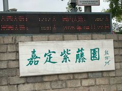 -嘉定紫藤园