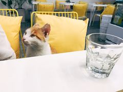 -五进制 Coffee Shop