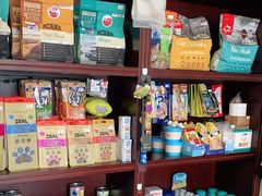 -宠爱国际动物医院·疑难骨科·心肾内科·皮肤科(太阳宫店)