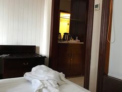 -维也纳国际酒店(深圳新洲店)