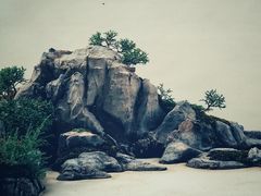 -石家庄市植物园