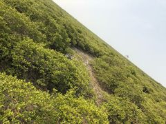 -北海金海湾红树林生态旅游区