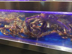 -盒马鲜生(莱蒙都会店)