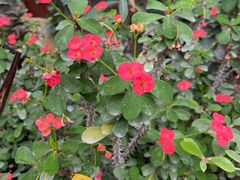 -国家植物园南园