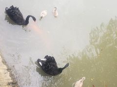 -上海虹桥迎宾馆