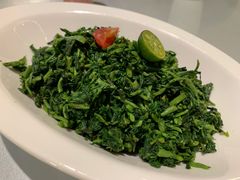 中宁枸杞苗-宁夏国强手抓羊肉·清真菜(未央路凤三店)