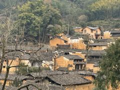 -杨家堂村