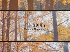 -白水寺森林公园