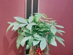 -丰收日(杨浦公园店)