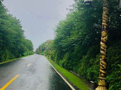 -宜兴龙背山森林公园