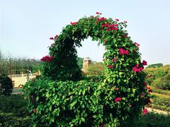 -东莞植物园