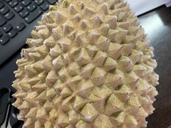 -叶氏兄弟(大连奥特莱斯店)