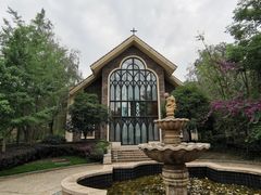 -成都保利公园皇冠假日酒店(熊猫基地店)