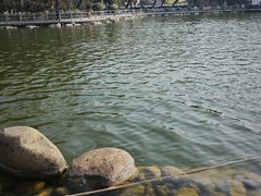 -莲湖公园