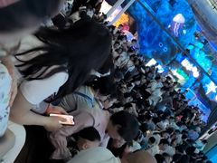 -海合安成都极地海洋公园