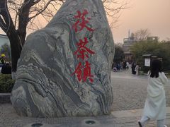 -茯茶镇
