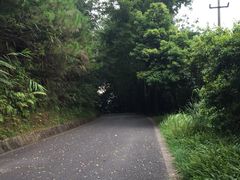 景点-白云山风景名胜区