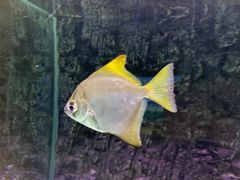 -北戴河圣蓝海洋公园