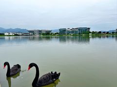-琅岐红光湖公园