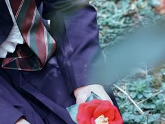 -蜀冈西峰生态公园