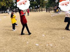 -瀛洲公园