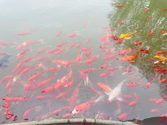 -陶祖圣境风景区