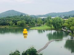 -上海佘山世茂艾美酒店