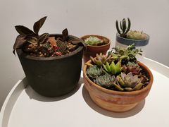 -稀物集咖啡(徽州大道店)