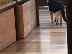 -猫的天空之城概念书店(杭州南宋御街店)