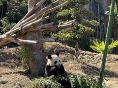 -杭州野生动物世界