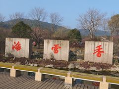 -香雪海