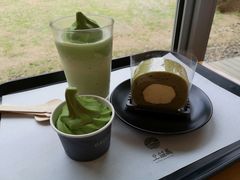 -雪绿茶博物馆