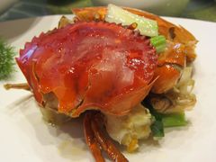 -A One Kitchen·南京精菜馆(晶丽酒店店)
