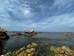 -养马岛旅游度假区