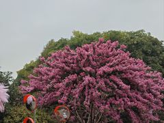 -杭州城北体育公园