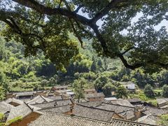 -杨家堂村