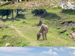 -新疆那拉提国家旅游度假区