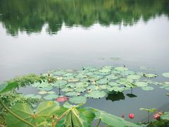 -上海怡沁园度假酒店