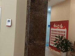 -碧莲盛·不剃发植发