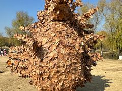 -浙江大学(紫金港校区)