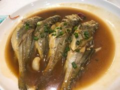 小黄鱼-温岭人家(红花北路店)