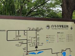 -洛阳白马寺